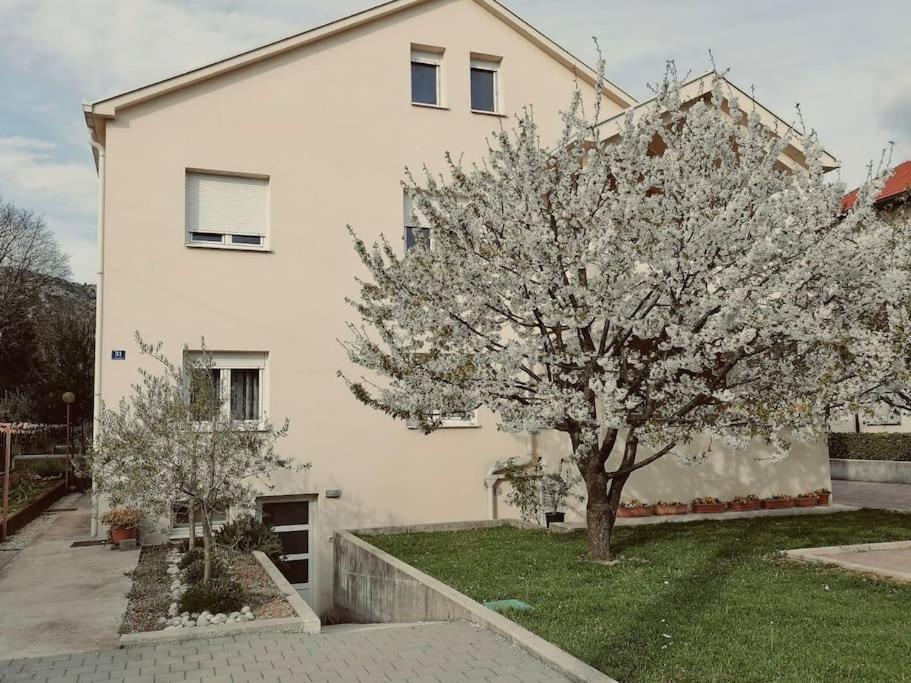 Apartman Cherry Любушки Екстер'єр фото